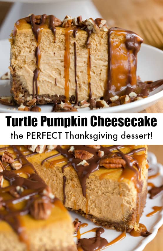 Turtle Pumpkin Cheesecake