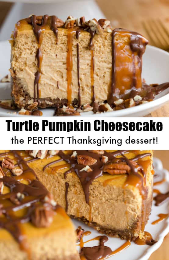 Turtle Pumpkin Cheesecake | greens & chocolate